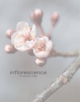 inflorescence book cover