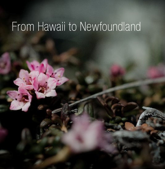 View From Hawaii to Newfoundland by Jonathan Cohlmeyer