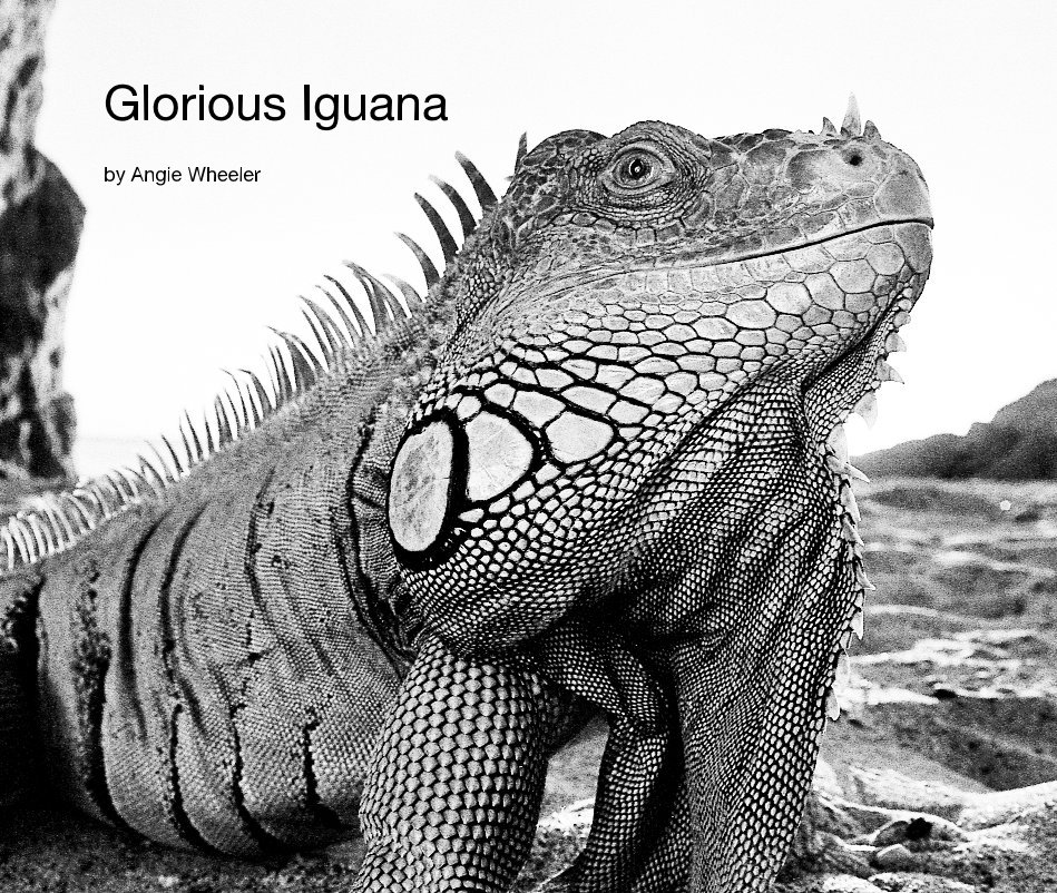 View Glorious Iguana by Angie Wheeler