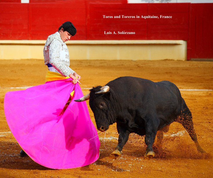 View Toros and Toreros in Aquitaine, France by Luis A. Solórzano
