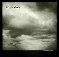 bird cloud sea book cover