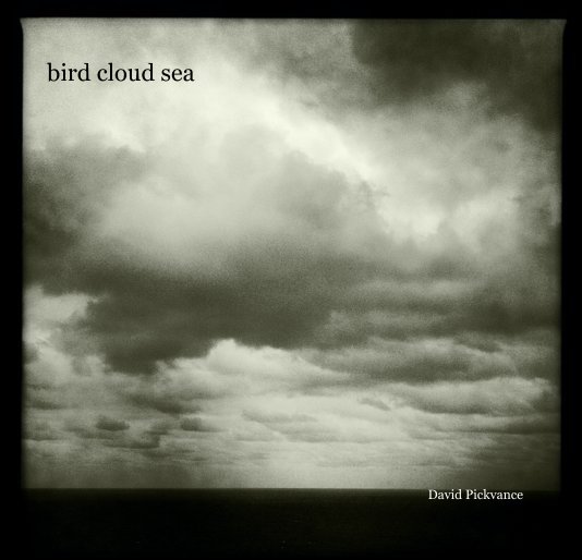 View bird cloud sea by David Pickvance