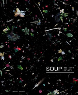 SOUP book cover