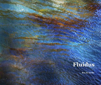 Fluidus book cover