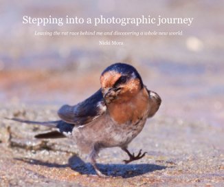 Stepping into a photographic journey book cover