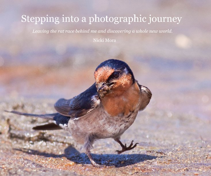 View Stepping into a photographic journey by Nicki Mora
