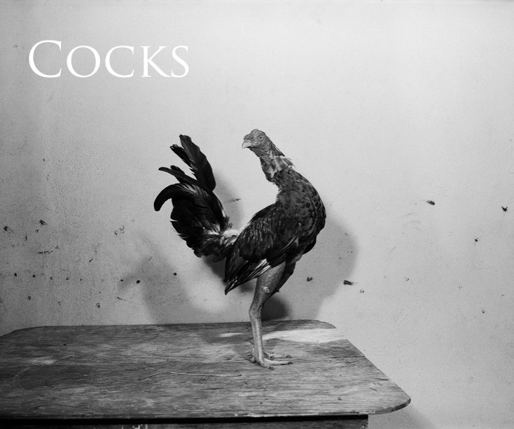 View Cocks by Tony Chirinos