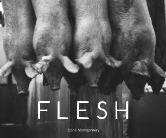 FLESH book cover