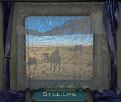Still Life book cover