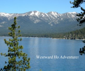 Westward Ho Adventure! book cover