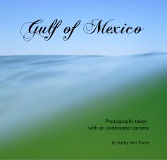 Gulf of Mexico book cover