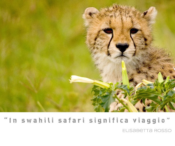 Ver Kenya 2011: colors and funny animals por Elisabetta Rosso