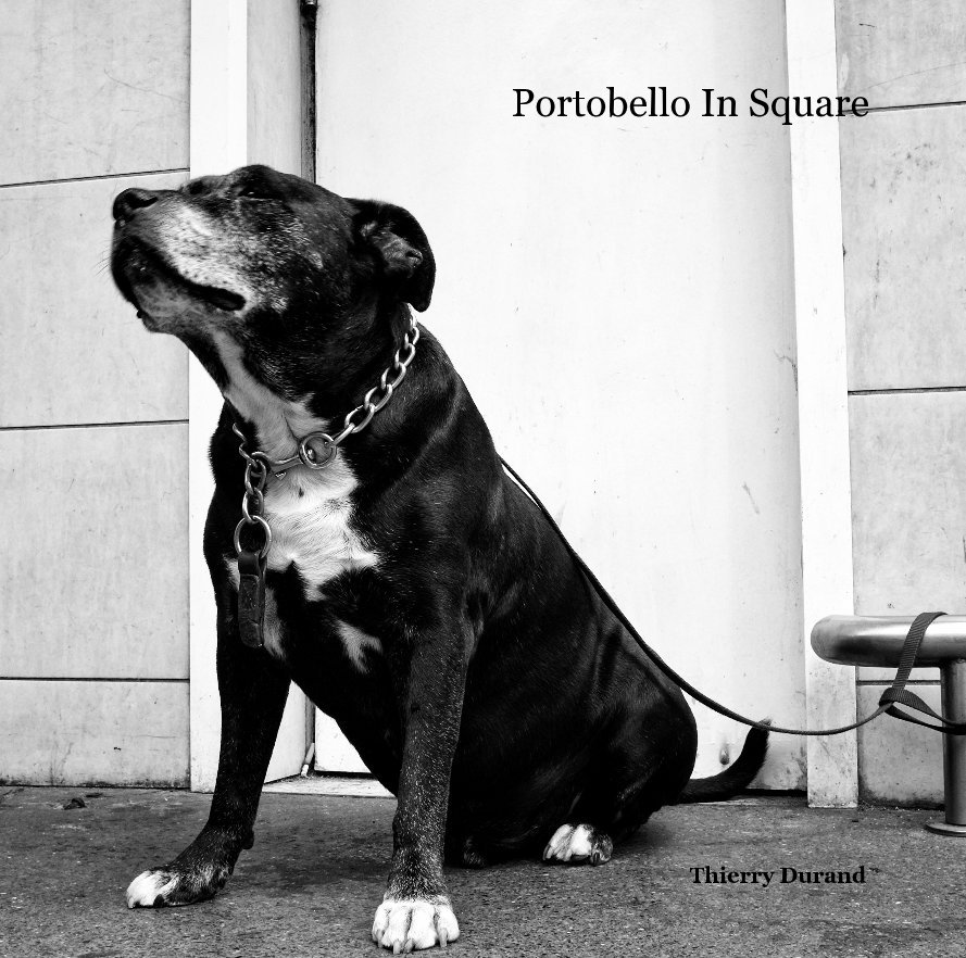 View Portobello In Square by Thierry Durand