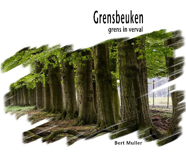 View grensbeuken (standard) by Bert Muller