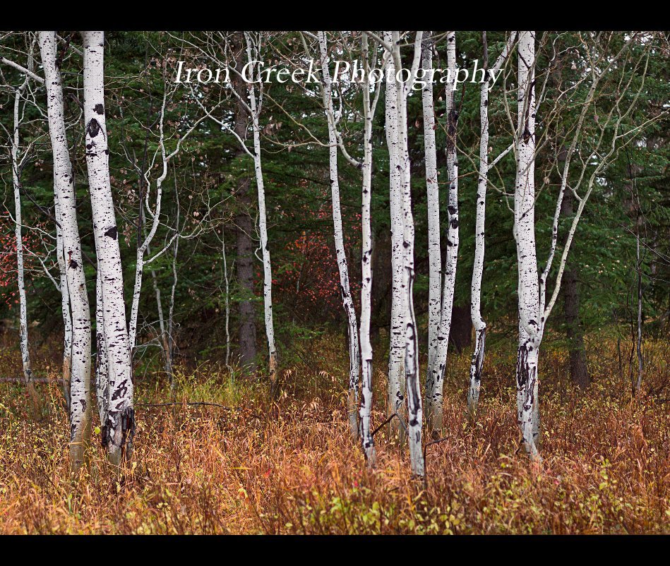 View Iron Creek Photography by Don Libby