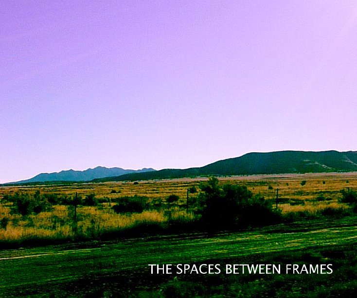 View THE SPACES BETWEEN FRAMES by Lauren Greenwald