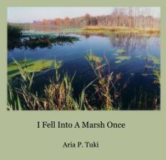 I Fell Into A Marsh Once book cover