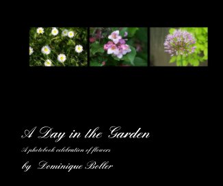 A Day in the Garden book cover