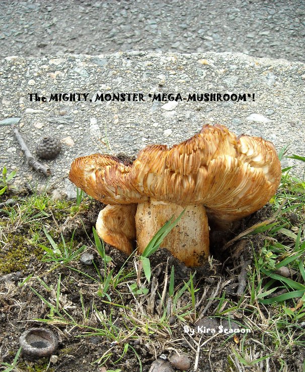 View The MIGHTY, MONSTER "MEGA-MUSHROOM"! by Kira Seamon