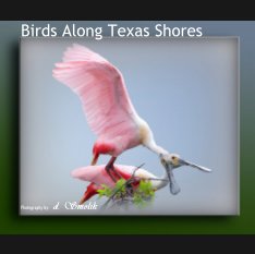 Birds Along Texas Shores book cover