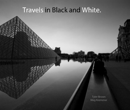 Travels in Black and White. book cover
