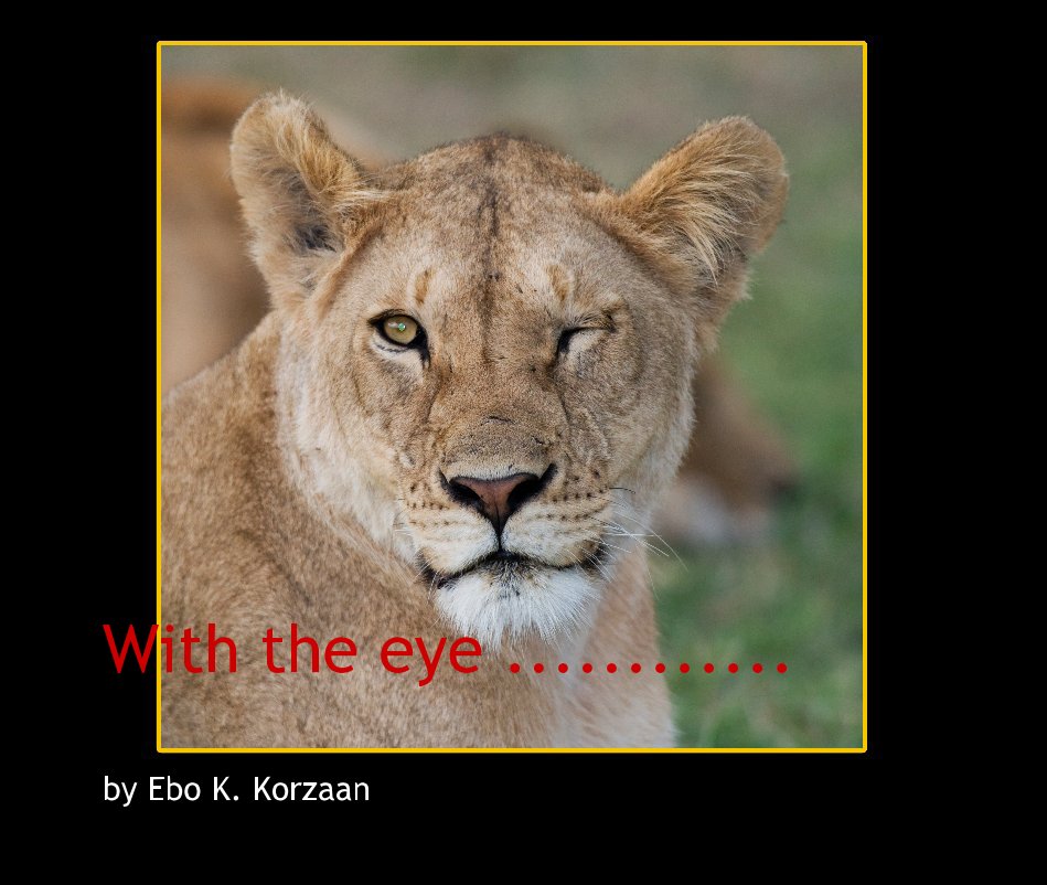 Ver With the eye ............ por Ebo K. Korzaan