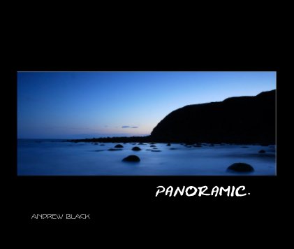 PANORAMIC. book cover