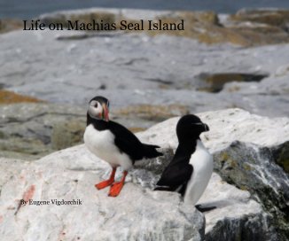 Life on Machias Seal Island book cover