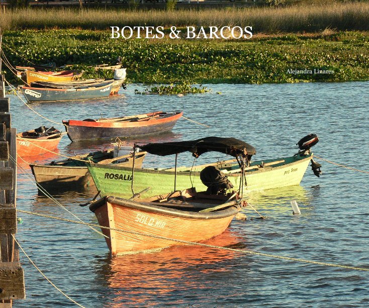 View Botes y Barcos by Alejandra Linares