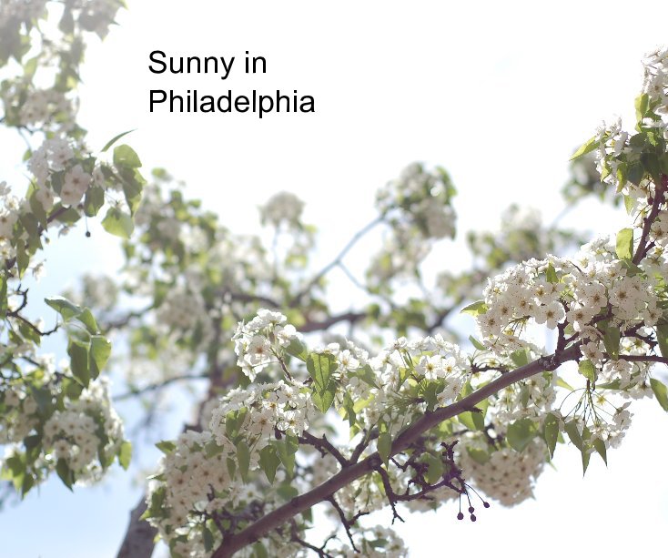 View Sunny in Philadelphia by biagio