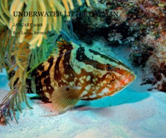 UNDERWATER LITTLE CAYMAN book cover