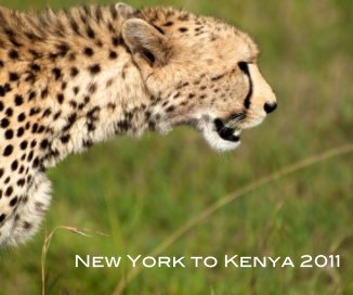 New York to Kenya 2011 book cover