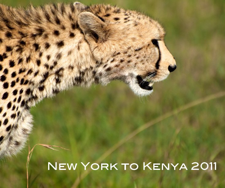 View New York to Kenya 2011 by louisawny