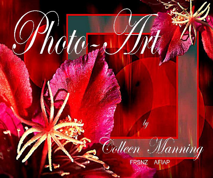 View Photo Art by Colleen