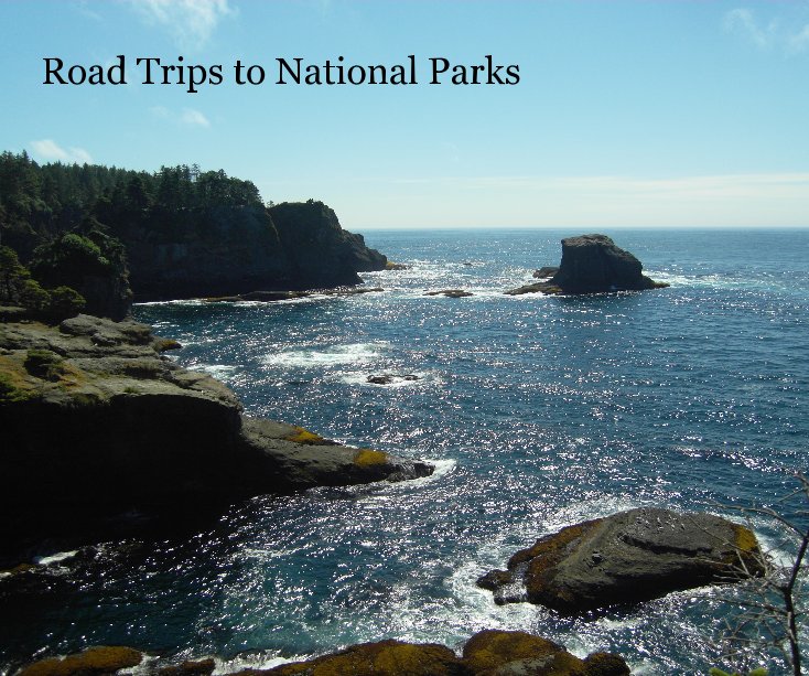 View Road Trips to National Parks by Michelle Cho
