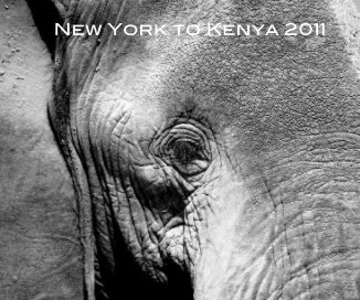 New York to Kenya 2011 book cover