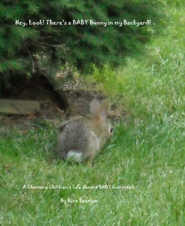 Hey, Look! There's a BABY Bunny in my Backyard! book cover