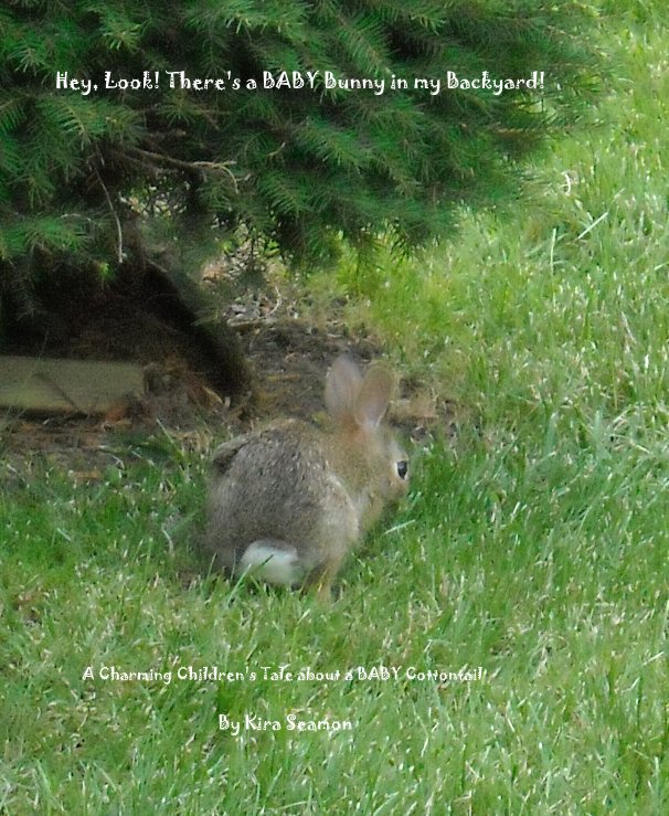 View Hey, Look! There's a BABY Bunny in my Backyard! by Kira Seamon