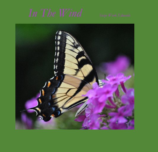 View In The Wind by Suzie Work Edwards