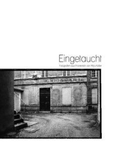 Eingetaucht book cover