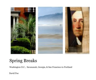 Spring Breaks book cover