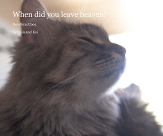 When did you leave heaven? book cover