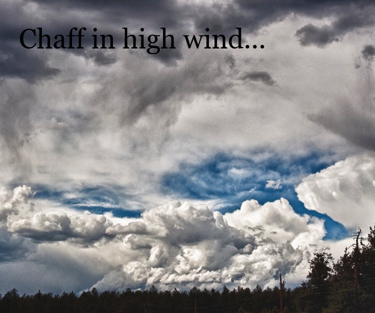 View Chaff in high wind... by Edwin A. Bundy