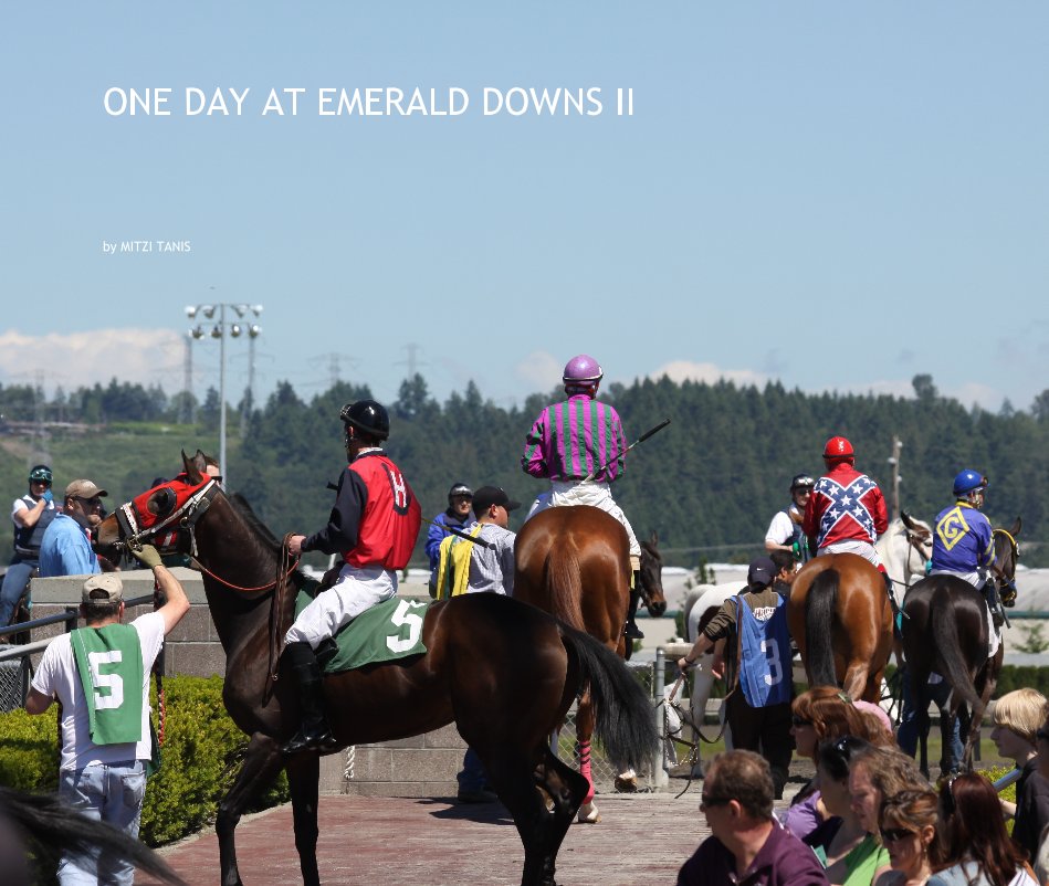 View ONE DAY AT EMERALD DOWNS II by MITZI TANIS