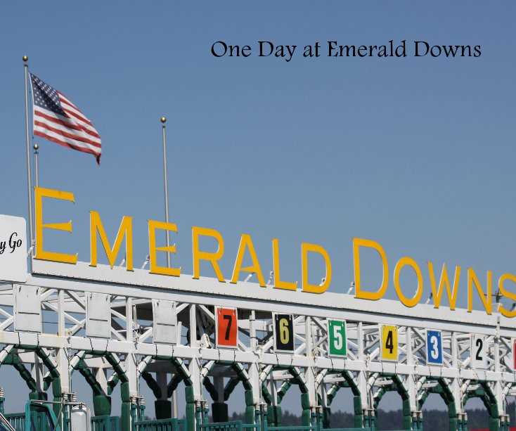 View one day at emerald downs by Mitzi Tanis