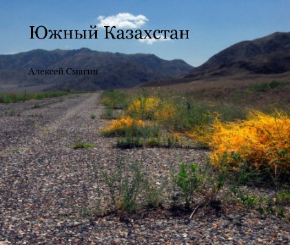 Южный Казахстан book cover