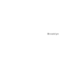 Brooklyn - 11201 book cover
