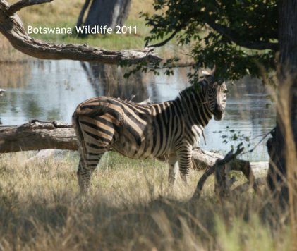 Botswana Wildlife 2011 book cover