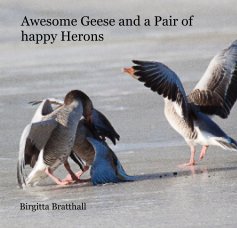 Awesome Geese and a Pair of happy Herons book cover