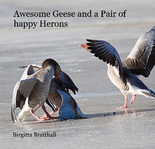 View Awesome Geese and a Pair of happy Herons by Birgitta Bratthall